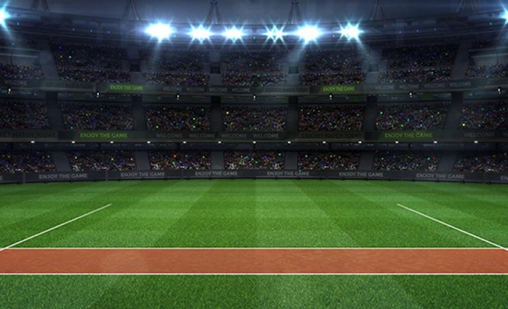 Animated image of cricket pitch within a stadium