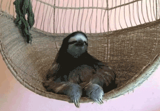 Sloth on a chair