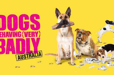 DBVB-S2-Gracenote-3840x2160