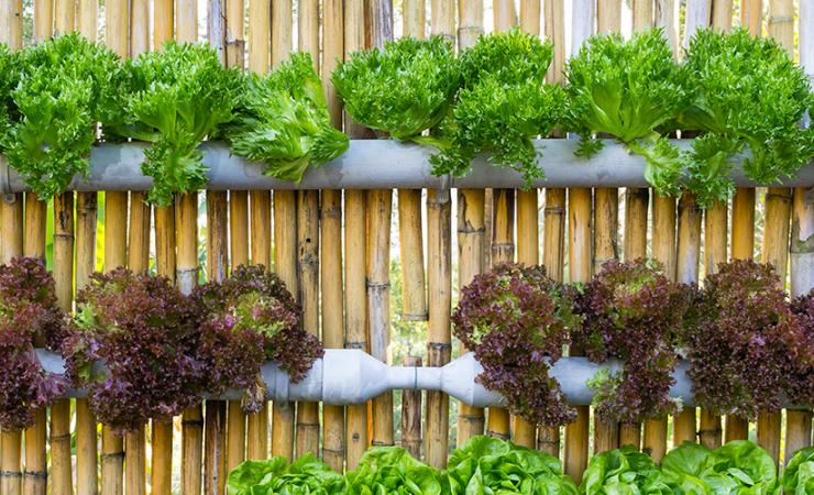 Sustainable garden wall