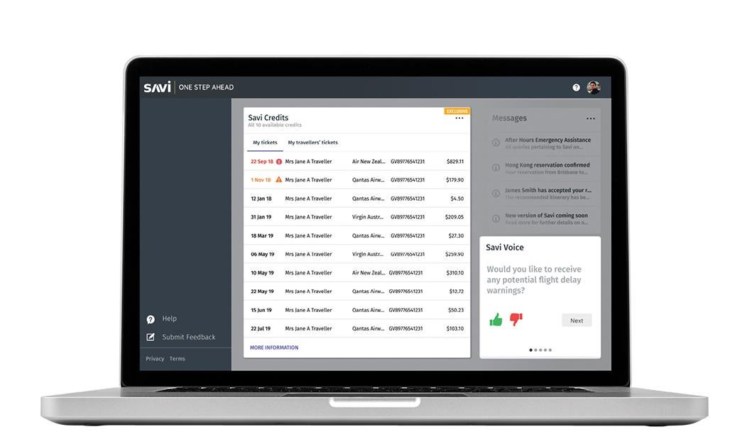 SAVI Business on computer