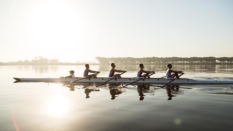 Rowers in the water