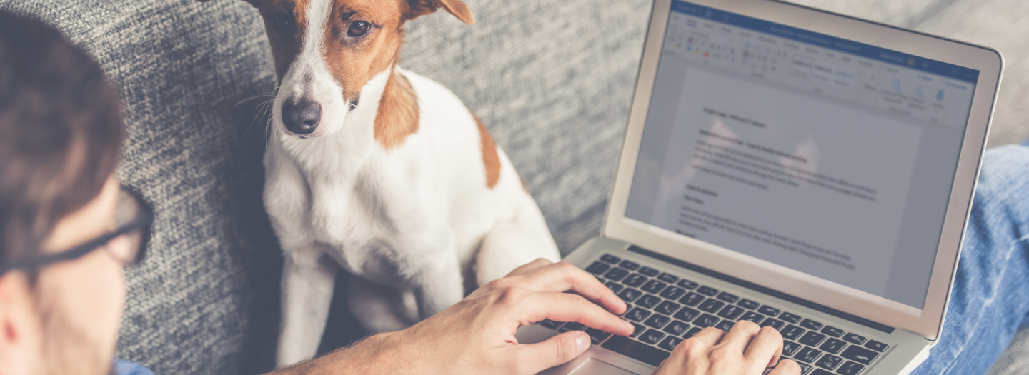 Mastering working from home