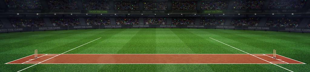 Animated image of cricket pitch within a huge stadium
