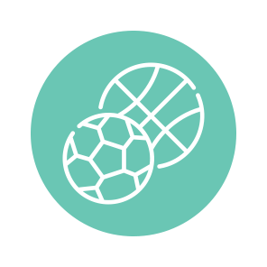Icon Sports Colour