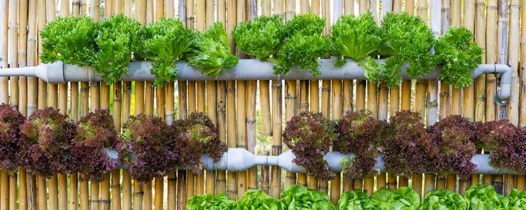 Sustainable garden wall